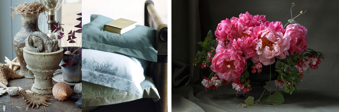 still life flowers photography