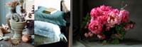 still life flowers photography