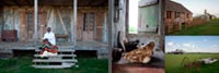 Cajun houses Louisiana