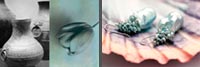 Jewelry and tulips